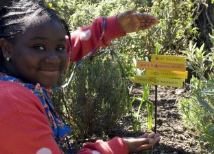 Planting poetry in a secret garden (archive)