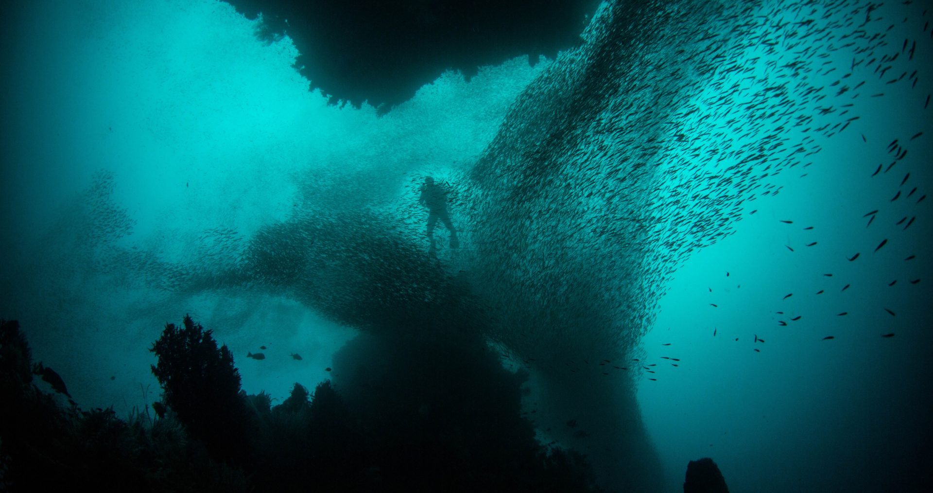 Looking up at dark swirling waves from the sea bed