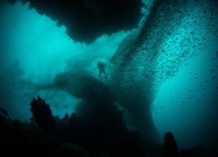 Looking up at dark swirling waves from the sea bed