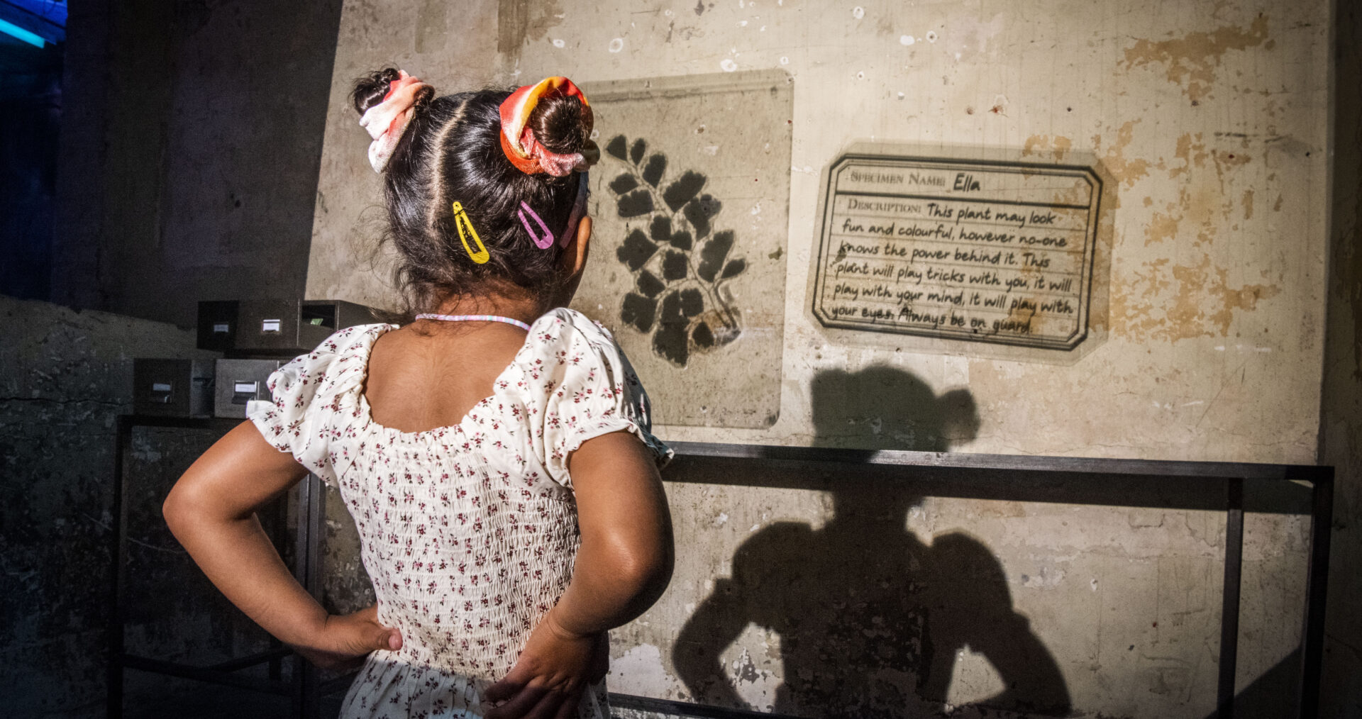 A young girls in a white dress and space buns in her hair, with her back to the camera, looks at the wall which has a large projections of plants and botany notes. Her body casts a shadow among the notes.
