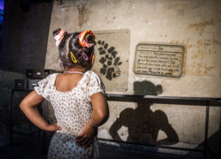 A young girls in a white dress and space buns in her hair, with her back to the camera, looks at the wall which has a large projections of plants and botany notes. Her body casts a shadow among the notes.